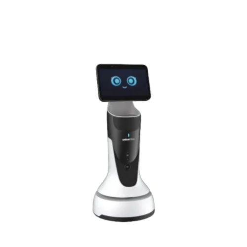 Robot recepcionista mini